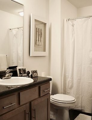 Smart Cabinetry Bathroom | Bathroom Vanities in MI