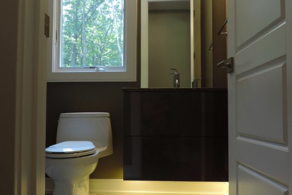 Toilet Next to A Dark Wood Vanity | Bathroom Vanities | Michigan